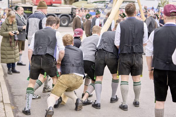 Preview campos_viola_gug_068-68