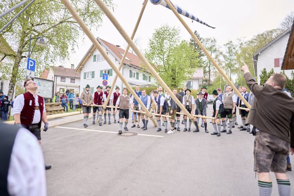 Preview campos_viola_gug_072-72