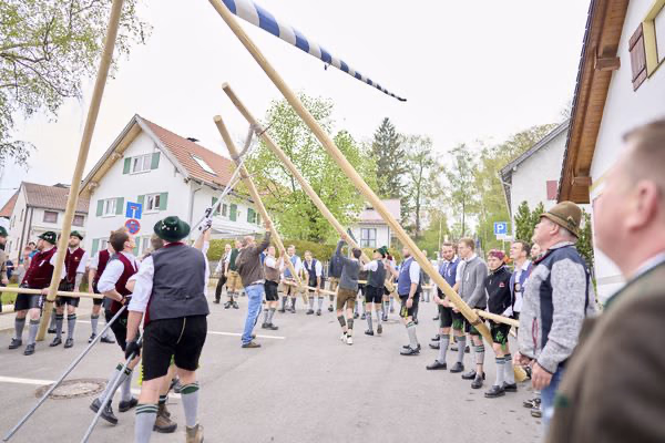 Preview campos_viola_gug_073-73