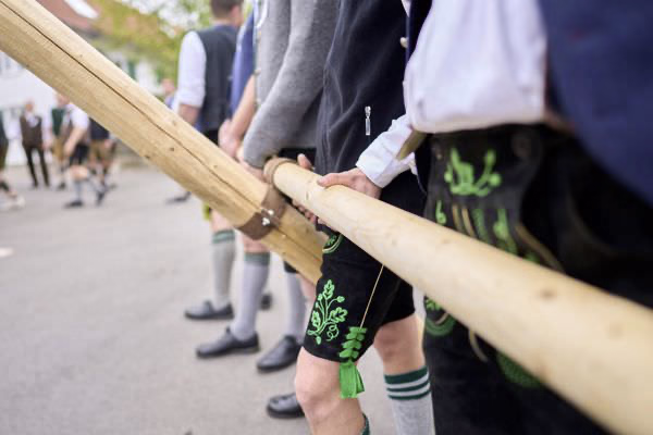 Preview campos_viola_gug_074-74