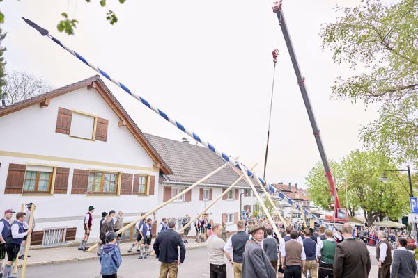 Preview campos_viola_gug_077-77