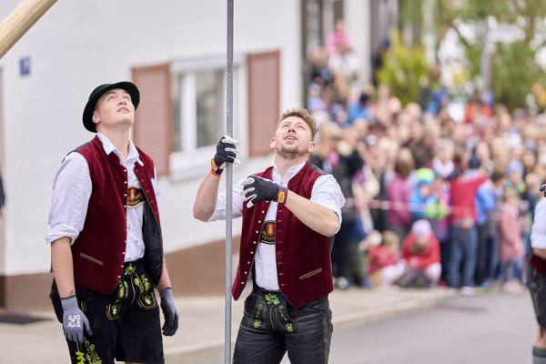 Preview campos_viola_gug_078-78