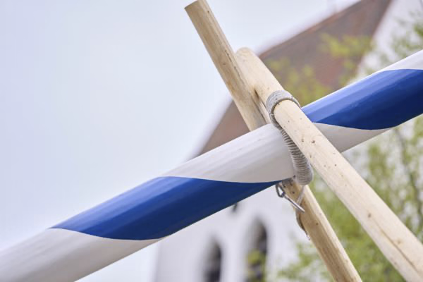 Preview campos_viola_gug_081-81