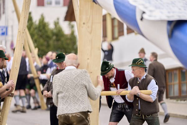 Preview campos_viola_gug_086-86