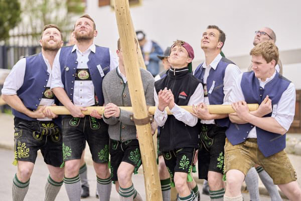 Preview campos_viola_gug_088-88