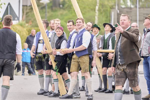 Preview campos_viola_gug_094-94