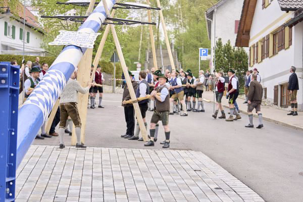 Preview campos_viola_gug_097-97