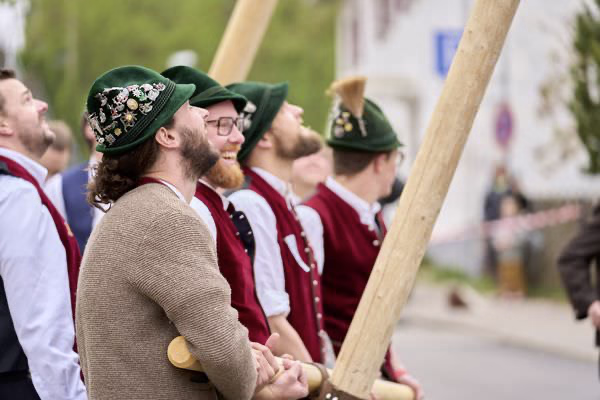 Preview campos_viola_gug_100-100