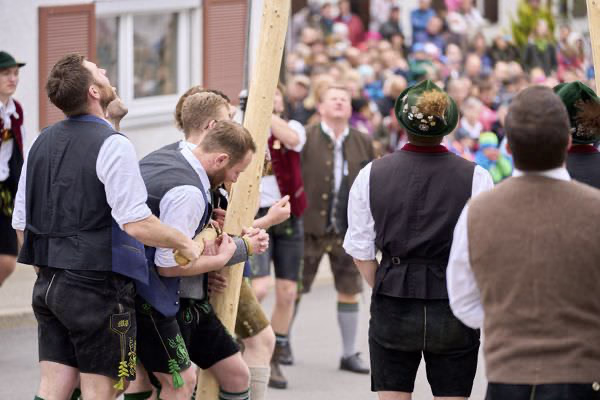 Preview campos_viola_gug_103-103