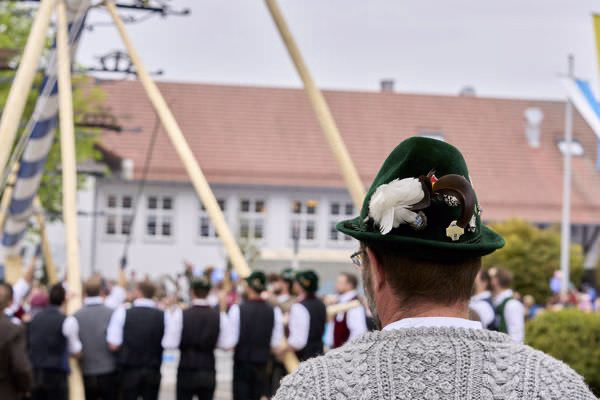 Preview campos_viola_gug_105-105