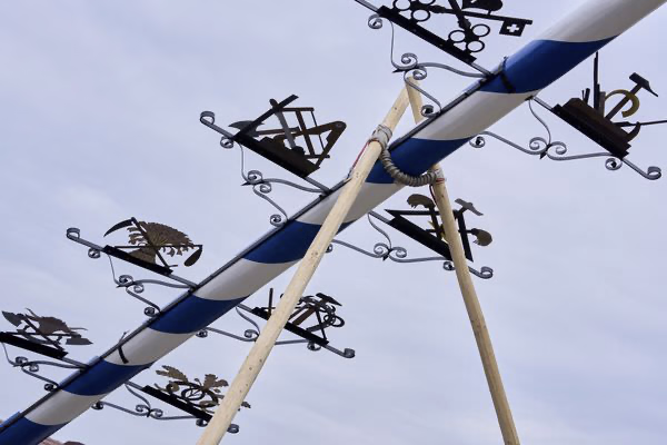 Preview campos_viola_gug_106-106