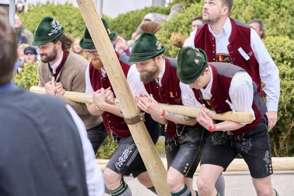 Preview campos_viola_gug_107-107