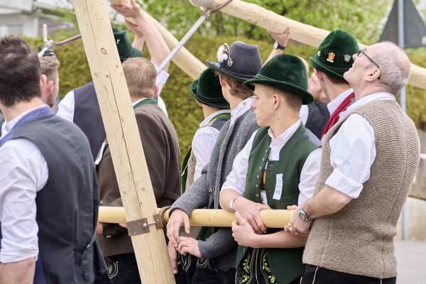 Preview campos_viola_gug_109-109