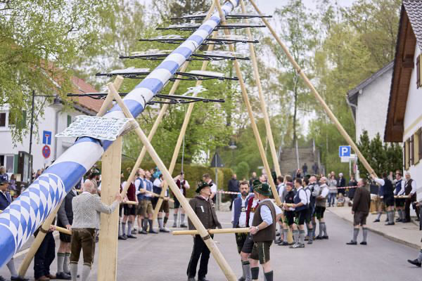 Preview campos_viola_gug_115-115