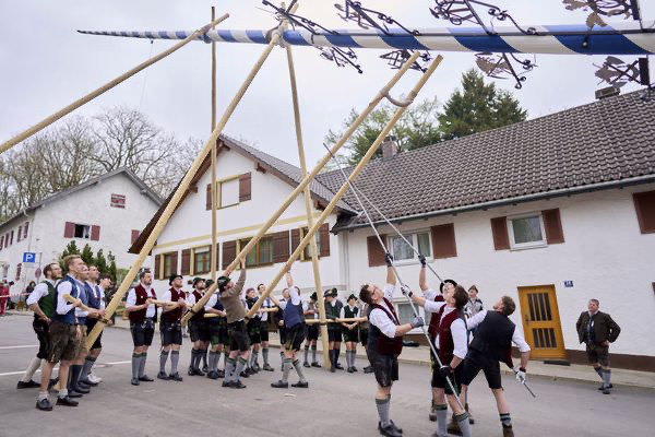 Preview campos_viola_gug_118-118