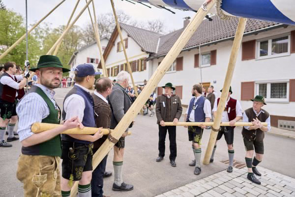 Preview campos_viola_gug_119-119