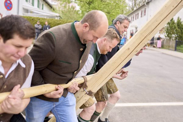 Preview campos_viola_gug_121-121