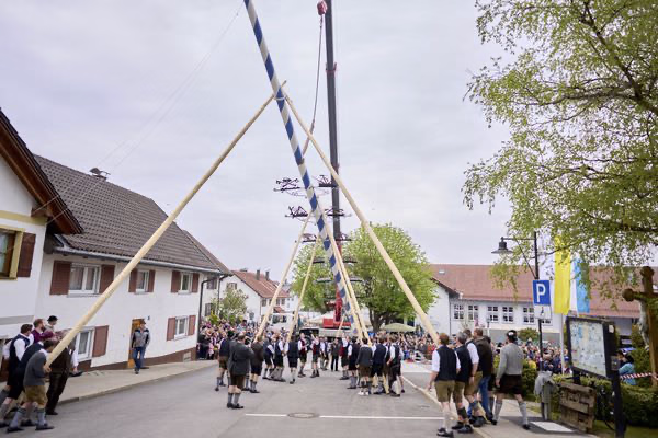 Preview campos_viola_gug_122-122