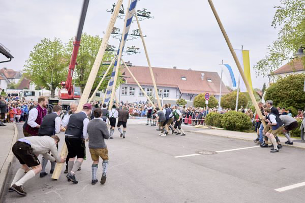 Preview campos_viola_gug_123-123