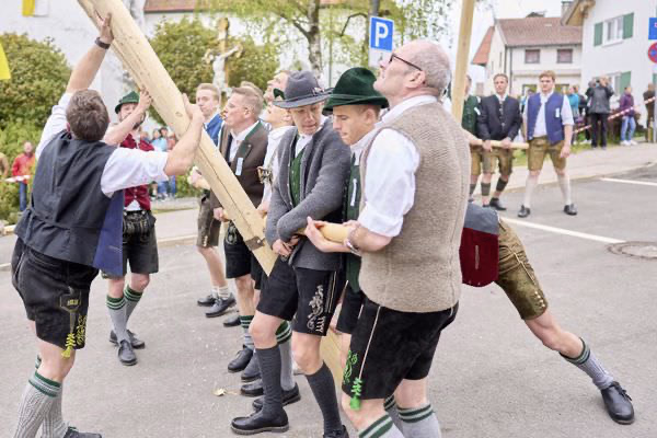 Preview campos_viola_gug_125-125