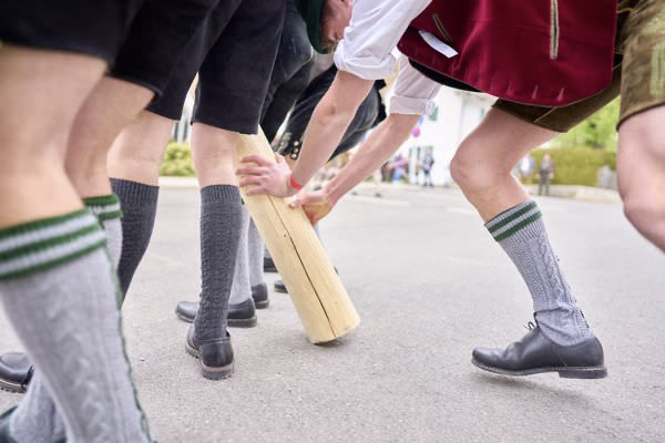 Preview campos_viola_gug_128-128