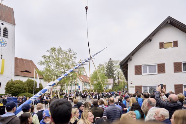 Preview campos_viola_gug_130-130