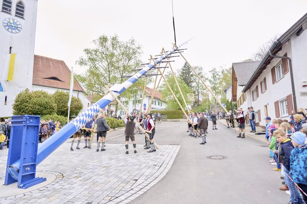 Preview campos_viola_gug_131-131