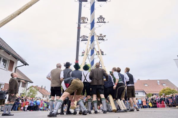 Preview campos_viola_gug_133-133