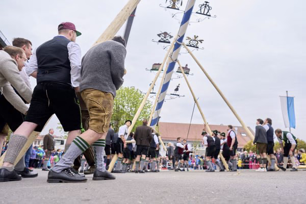 Preview campos_viola_gug_134-134