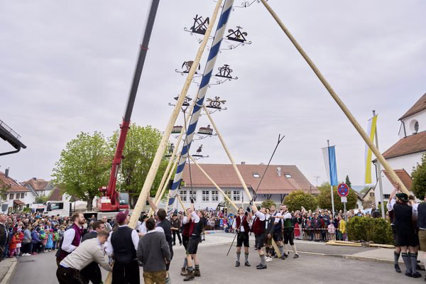 Preview campos_viola_gug_135-135