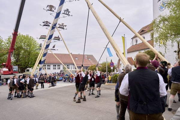 Preview campos_viola_gug_138-138