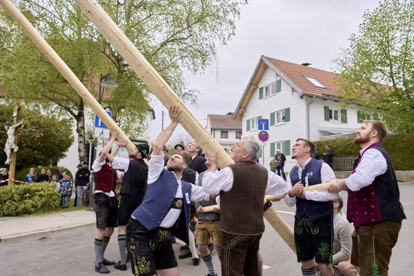 Preview campos_viola_gug_139-139