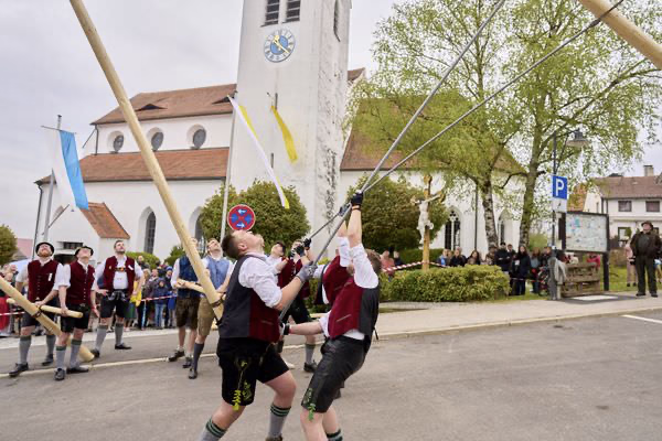 Preview campos_viola_gug_140-140