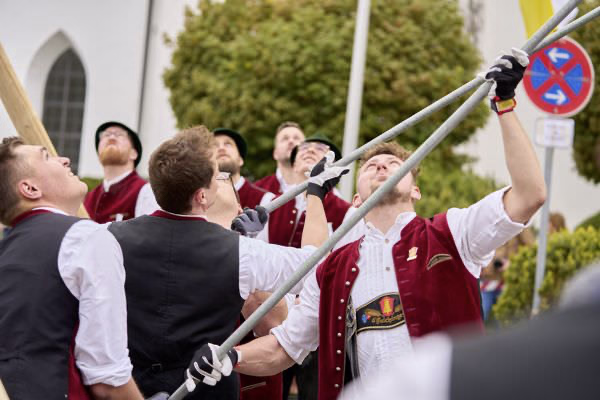 Preview campos_viola_gug_143-143