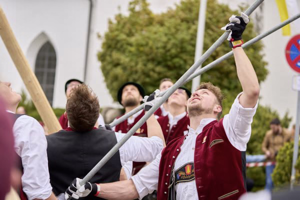 Preview campos_viola_gug_144-144