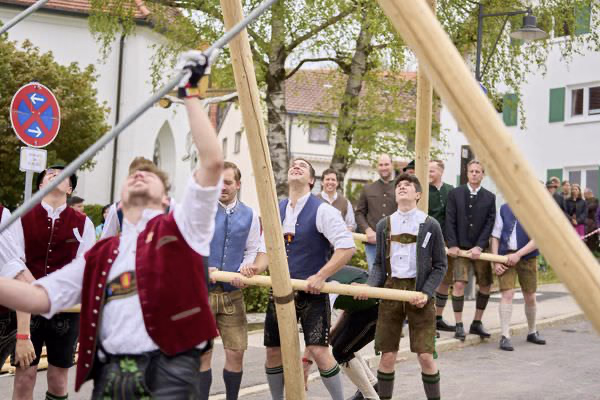 Preview campos_viola_gug_145-145