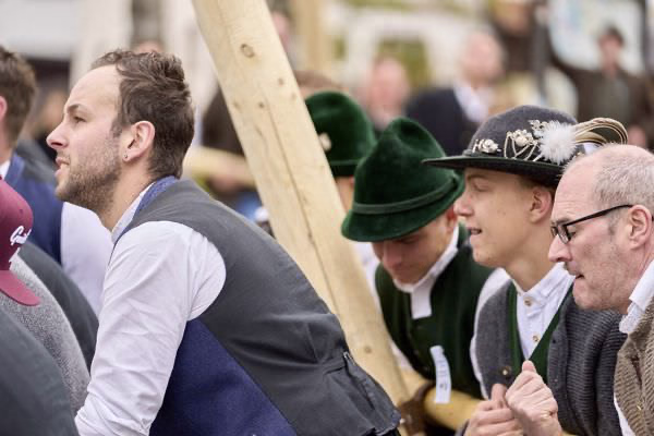 Preview campos_viola_gug_150-150