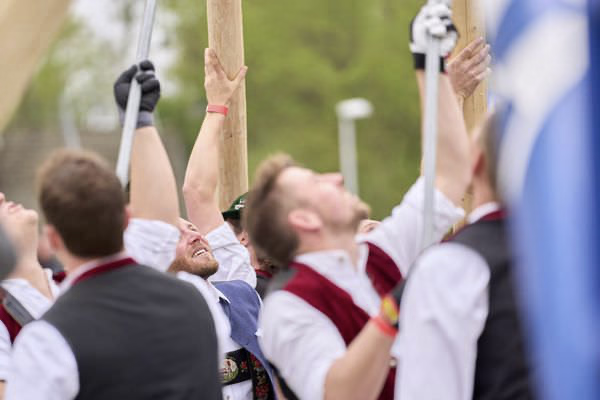 Preview campos_viola_gug_151-151