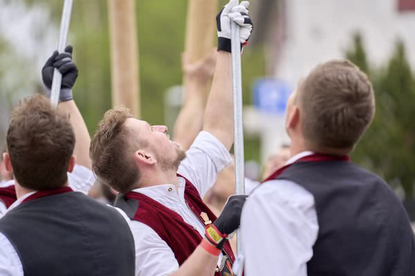 Preview campos_viola_gug_153-153