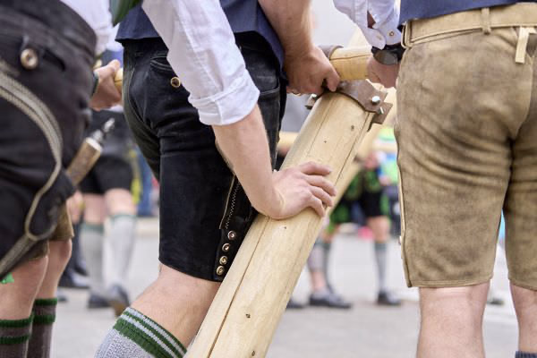 Preview campos_viola_gug_160-160