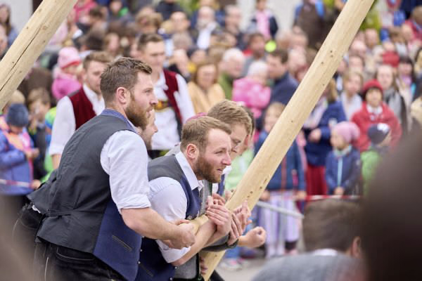 Preview campos_viola_gug_166-166