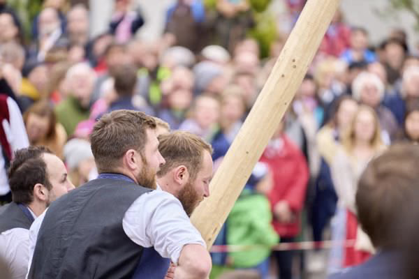 Preview campos_viola_gug_167-167