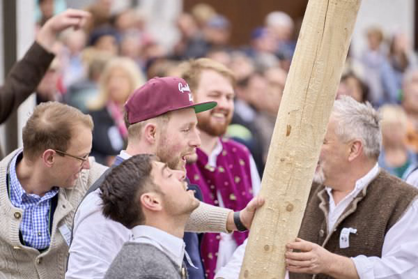 Preview campos_viola_gug_168-168