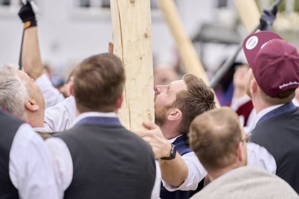 Preview campos_viola_gug_172-172