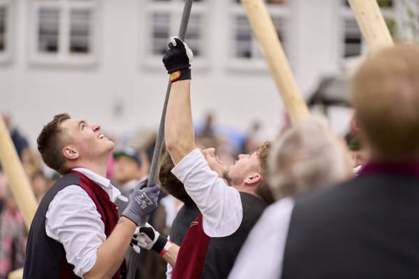 Preview campos_viola_gug_173-173