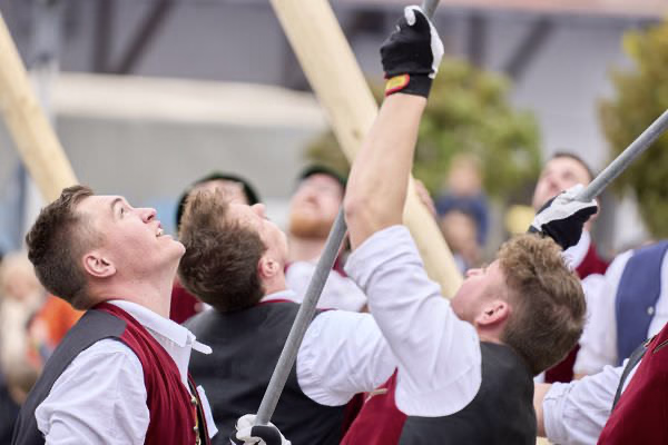 Preview campos_viola_gug_174-174