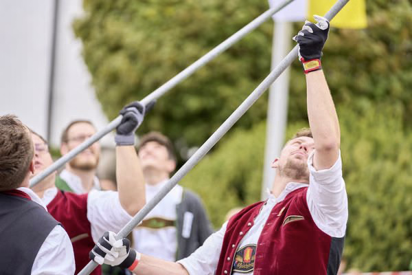 Preview campos_viola_gug_175-175