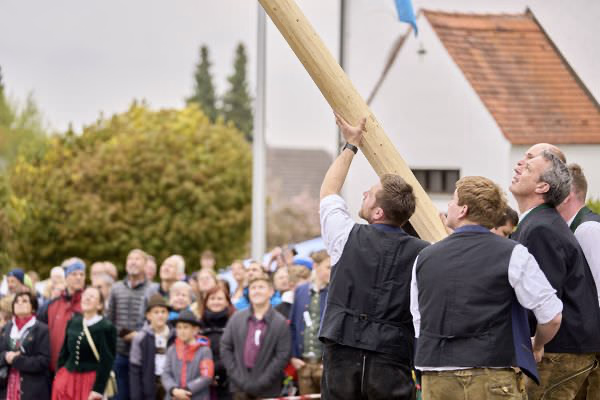 Preview campos_viola_gug_179-179