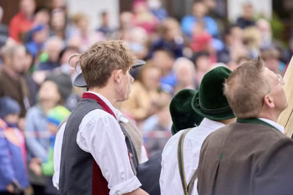 Preview campos_viola_gug_187-187