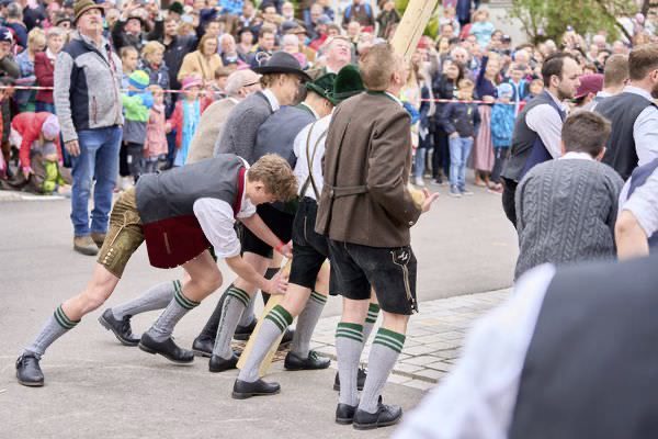 Preview campos_viola_gug_188-188